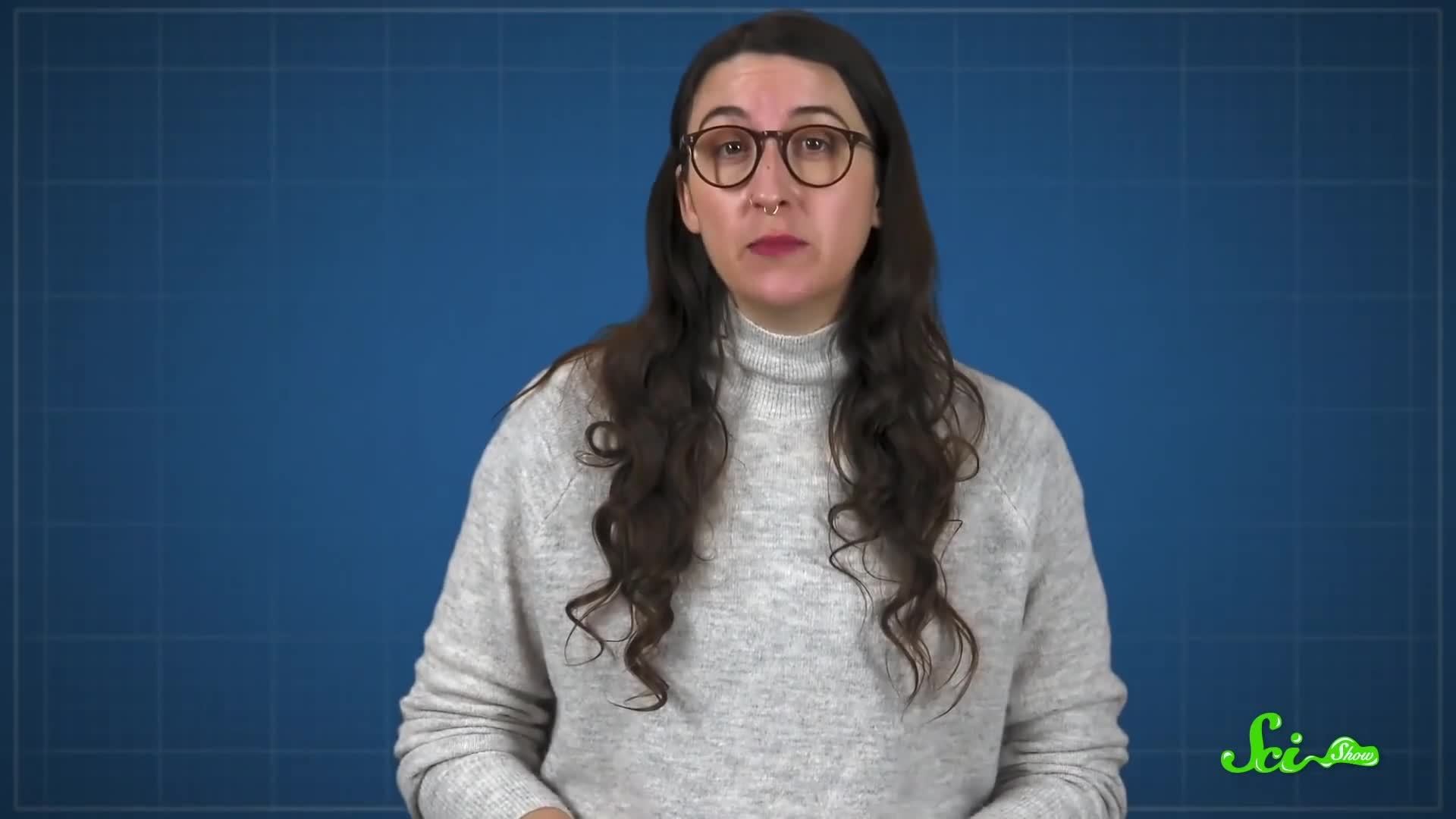 Why Are There So Many Beetles Science